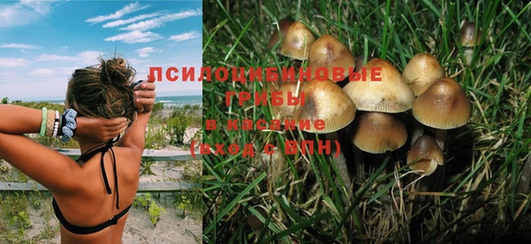 круглые Абаза