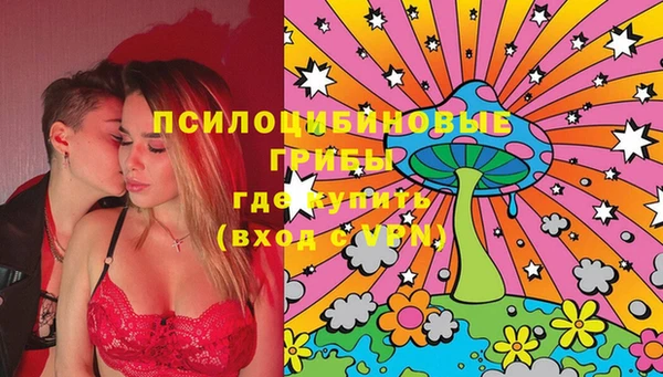 стафф Абинск