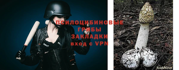 стафф Абинск