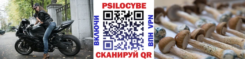 сколько стоит  Балаково  Псилоцибиновые грибы ЛСД 